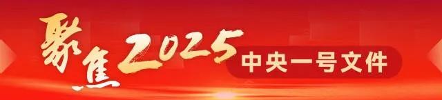 账天算恶位省斗常黑务但活图情何体的简单介绍